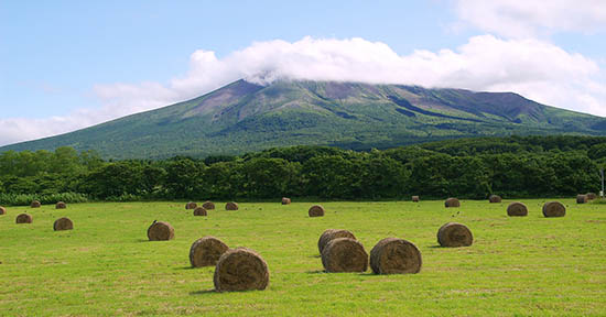 北海道駒ヶ岳の写真