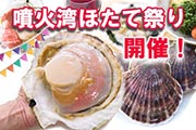 北海道、春のホタテ貝祭り開催！