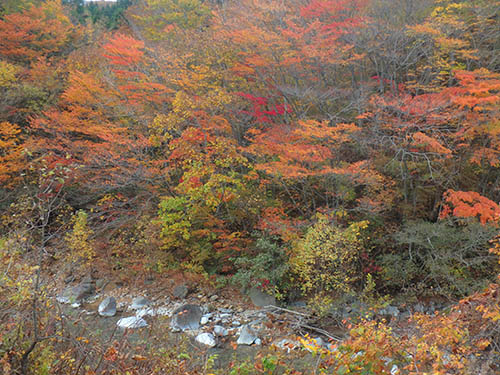 北海道、渓流の紅葉