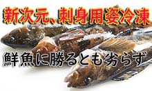 新次元刺身用姿冷凍