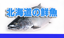 北海道の鮮魚