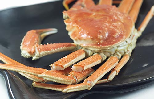 北海道産ボイルおおずわい蟹大サイズ