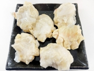 訳あり、ボイル本ずわいがに抱き身