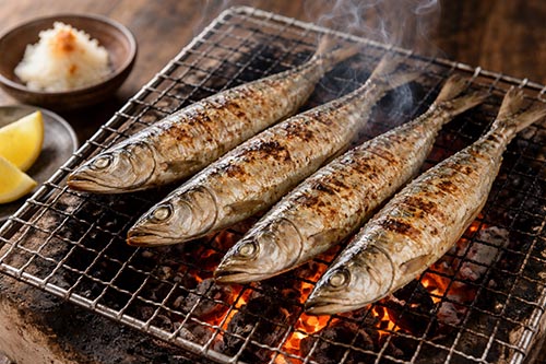 トロイワシの旨味しお味