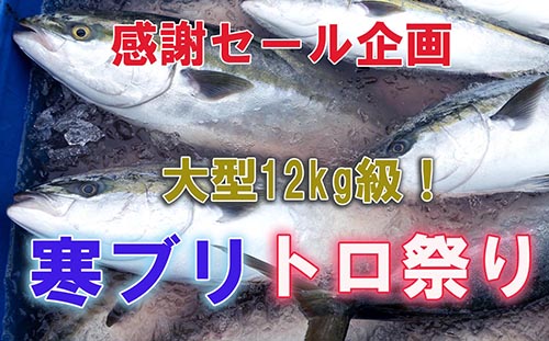 寒ブリトロ祭り