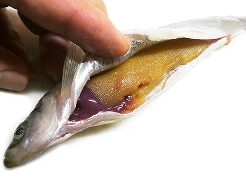 子持ちのチカ