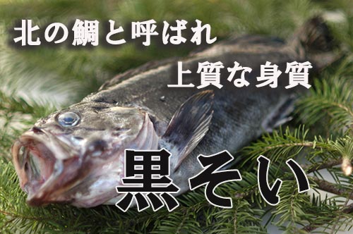 北海道産黒そいの刺身 漁場通販のさかなだマート