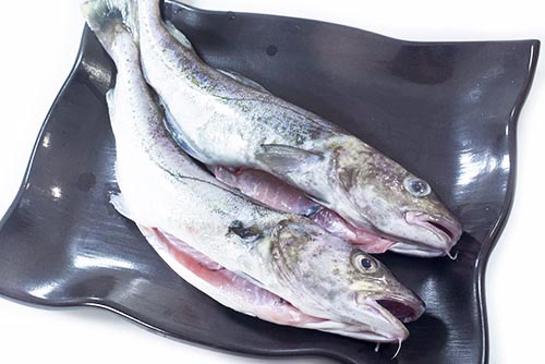 函館産、真だら少々サイズ