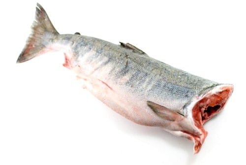 北海道産鮭ドレス冷凍 漁場通販のさかなだマート