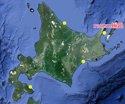 羅臼のブランド鮭「極銀」