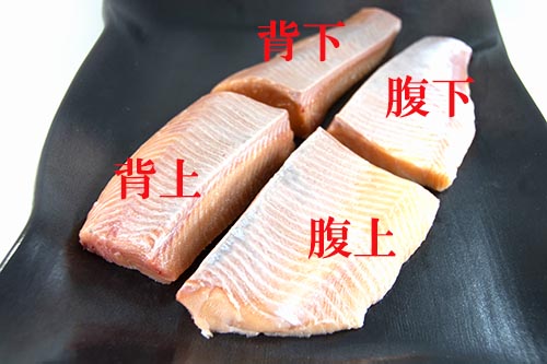 さくらますの柵