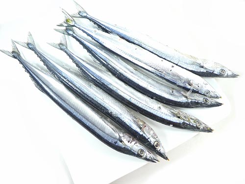 わけあり、北海道産極鮮サンマ