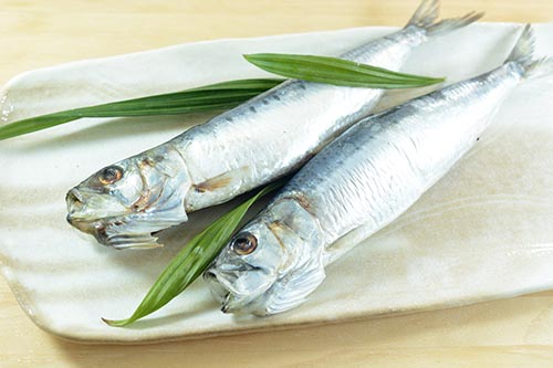 トロイワシの旨味しお味