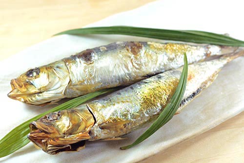 トロイワシの旨味しお味