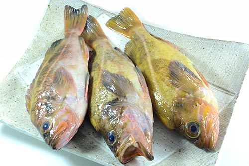 柳の舞（ヤナギノマイ）