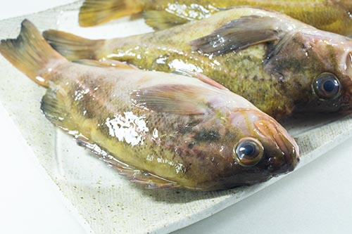 柳の舞（ヤナギノマイ）