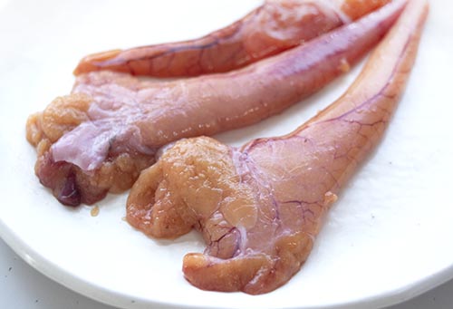 北海道産ヒラメの魚卵