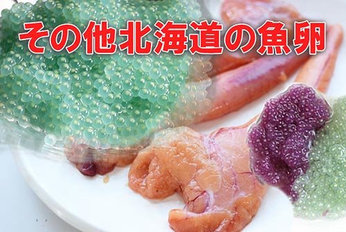 その他北海道の魚卵