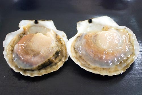 北海道産ラン付きホタテ片貝