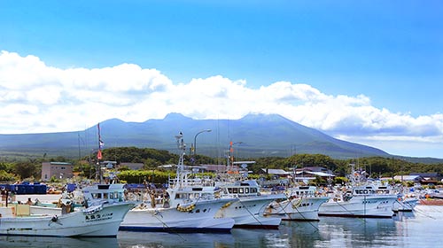 北海たこザンギ（たこの唐揚げ）