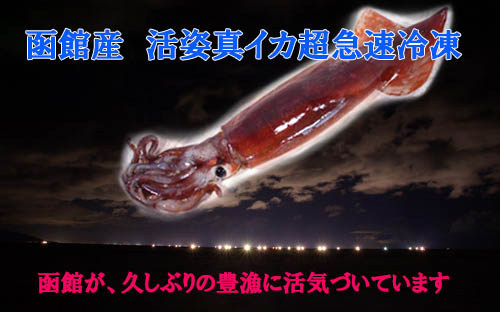 函館産活姿真イカ超急速冷凍