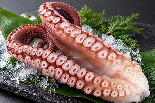 刺身用活〆北海たこ足