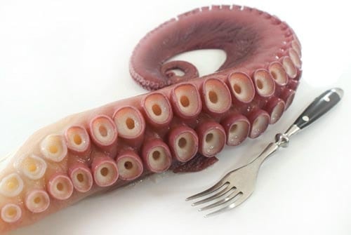 北海たこ