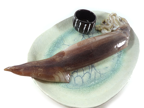 真イカ姿特大サイズ