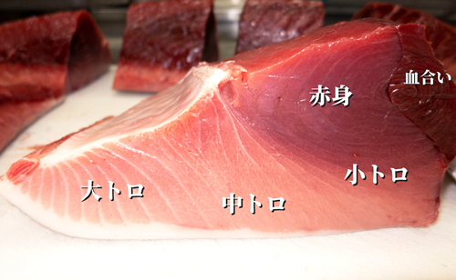 前浜line 市場 過去の掲載情報 21年7 8月 漁場通販のさかなだマート