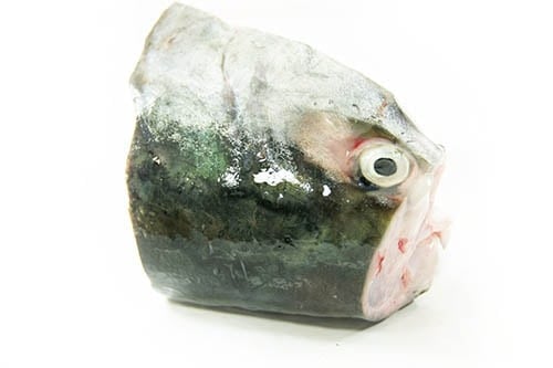 鮭の頭の皮