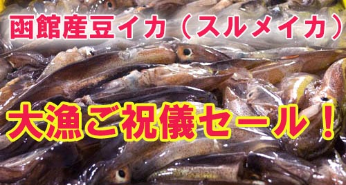 北海道函館産、豆イカ大漁ご祝儀セール