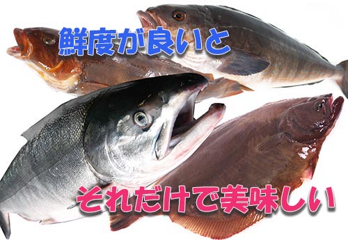 訳あり、大盛り北海道産鮮魚切り身３種セット