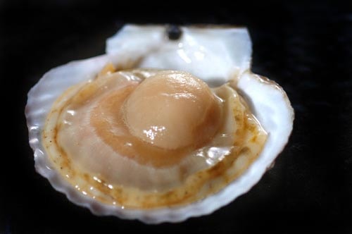 前浜line 市場 過去の掲載情報 年5 6月 漁場通販のさかなだマート