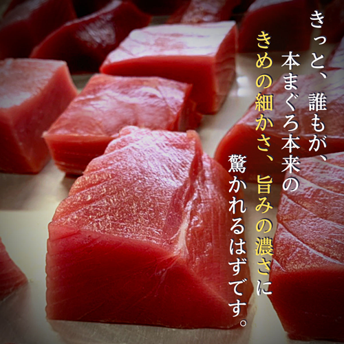 北海道産天然本まぐろの刺身 漁場通販のさかなだマート