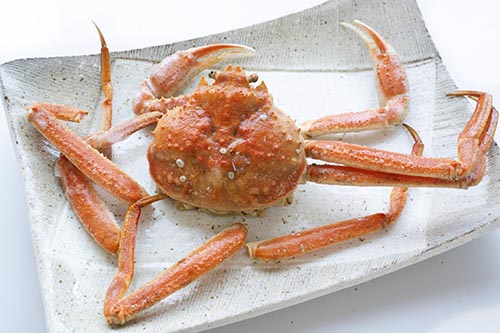 訳あり北海道産ボイスオオズワイガニ姿