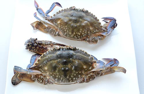 訳あり北海道産、渡り蟹