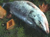 北海道産の新巻鮭