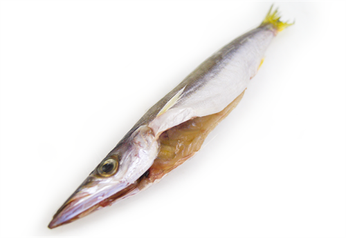 前浜line 市場 過去の掲載情報 21年7 8月 漁場通販のさかなだマート