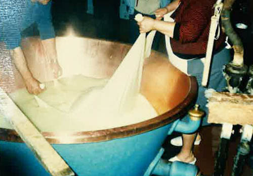 パルメザンチーズ工場